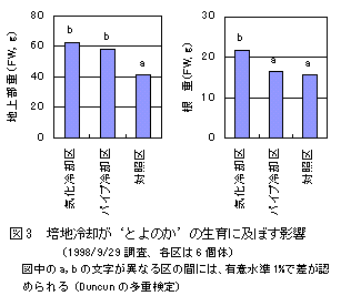 図3 培地冷却が’とよのか’の生育に及ぼす影響