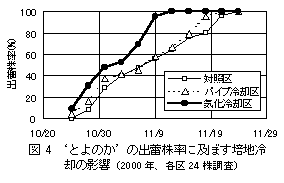 図4 ’とよのか’の出蕾株率に及ぼす培地冷却の影響