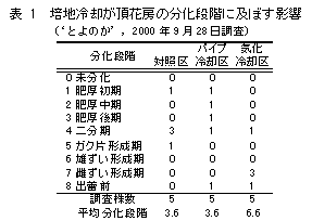 表1 培地冷却が頂花房の分化段階に及ぼす影響