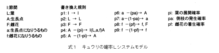 式1 キュウリの確率Lシステムモデル