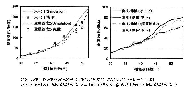 図3 品種および整枝方法が異なる場合の総葉数についてのシミュレーション例