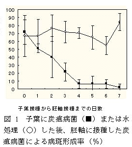 図1 子葉に炭疽病菌または水処理したあと、胚軸に接種した炭疽病菌による病斑形成率