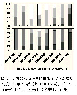 図3 子葉に炭疽病菌接種または水処理した後、土壌に混和したR solaniにより現れた病徴