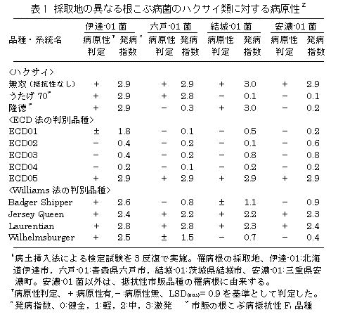 表1 採取地の異なる根こぶ病菌のハクサイ類に対する病原性