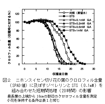 図2 ニホンスイセン切り花の葉のクロロフィル含量(SPAD値)に及ぼすジベレリンとSTS(0.1mM) を組み合わせた短期間処理(20時間)の影響