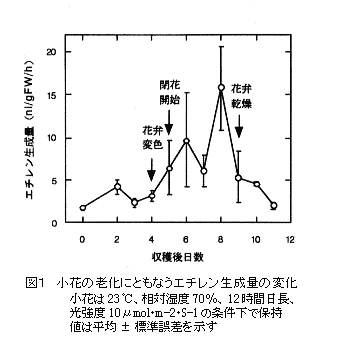 図1 小花の老化に伴うエチレン生成量の変化