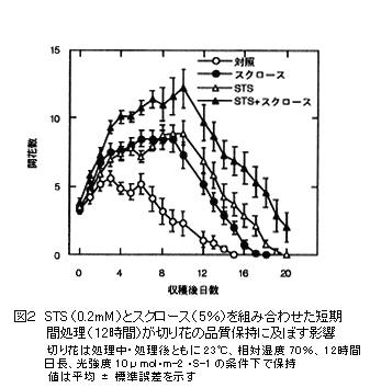 図2 STS(0.2mM)とスクロース(5%)を組み合わせた短期間処理(12時間)が切り花の品質保持に及ぼす影響