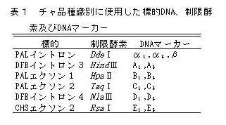 表1 チャ品種識別に使用した標的DNA、制限酵素及びDNAマーカー