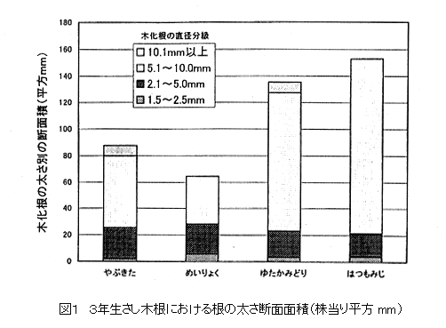 図1 3年生さし木根における根の太さ断面面積