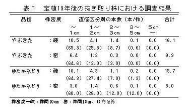 表1 定植19年後の抜き取り株における調査結果