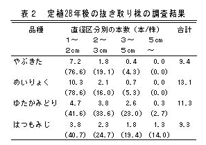 表2 定植28年後の抜き取り株の調査結果