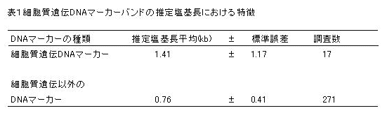 表1 細胞質遺伝DNAマーカーバンドの推定塩基長における特徴