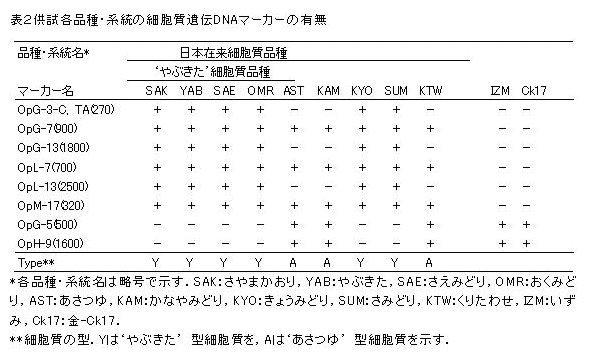 表2 供試各品種・系統の細胞質遺伝DNAマーカーの有無