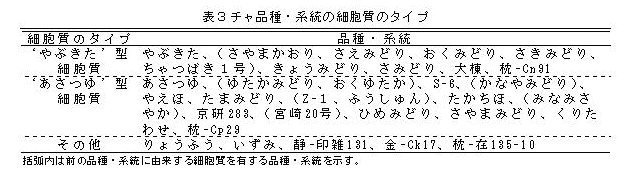 表3 チャ品種・系統の細胞質のタイプ