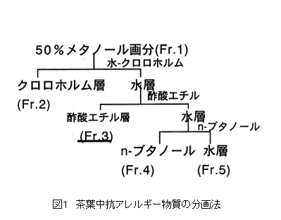 図1 茶葉中抗アレルギー物質の分画法