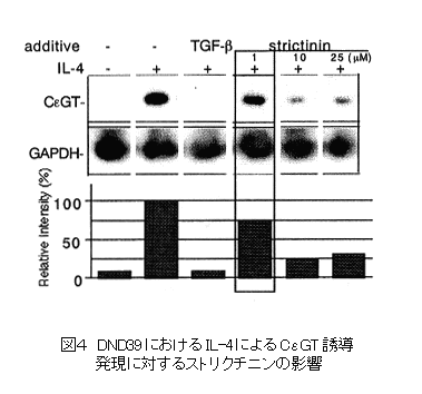 図4 DND39におけるIL-4によるCeGT誘導発現に対するストリクチニンの影響