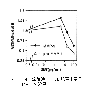 図3 EGCg添加時HT1080培養上清のMMPs分泌量
