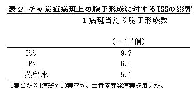表2 チャ炭疽病斑上の胞子形成に対するTSSの影響