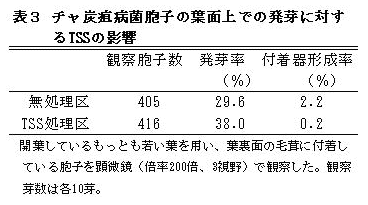 表3 チャ炭疽病菌胞子の葉面状での発芽に対するTSSの影響