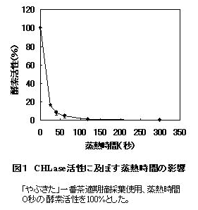 図1 CHLase活性に及ぼす蒸熱時間の影響