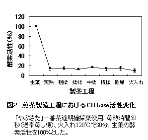 図2 煎茶製造工程におけるCHLase活性変化