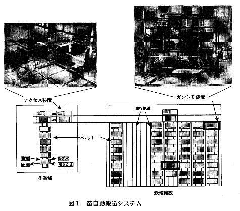 図1 苗自動搬送システム