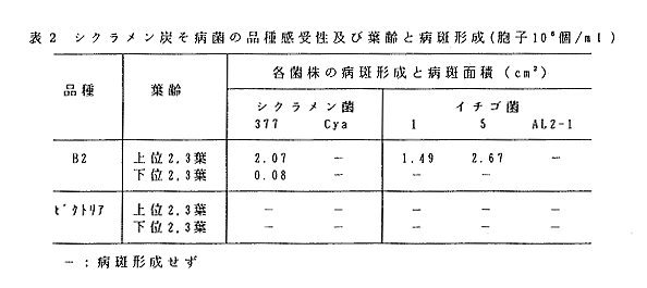 表2 シクラメン炭そ病菌の品種感受性及び葉齢と病斑形成