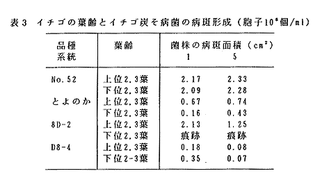 表3 イチゴの葉齢とイチゴ炭そ病菌の病斑形成