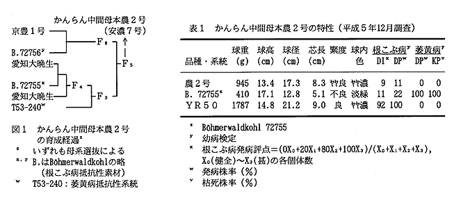 図1 かんらん中間母本農2号の育成経過 表1 かんらん中間母本農2号の特性