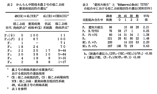 表2 かんらん中間母本農2号の根こぶ病・萎黄病抵抗性の遺伝 表3 '愛知大晩生'tp'Bohmerwaldkohl 72755'の組合せにおける根こぶ病抵抗性の遺伝