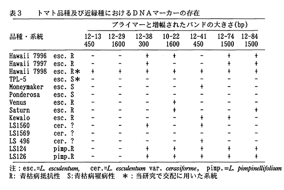 表3 トマト品種及び近縁種におけるDNAマーカーの存在