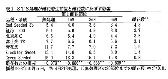 表1 STS処理が雌花着生節位と雌花数に及ぼす影響