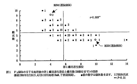 図1 F2個体のSTS処理後の第一雌花節位と雌花数の関係