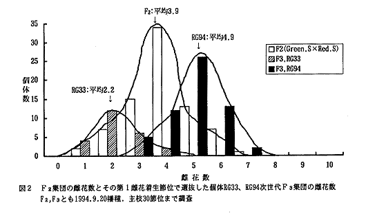 図2 F2集団のめす花数とその第一雌花着生節位で選抜した個体RG33、RG94次世代F3集団の雌花数