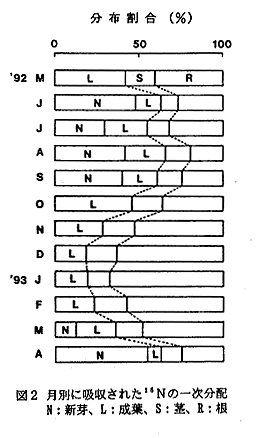 図2 月別に吸収されたNの一次分配