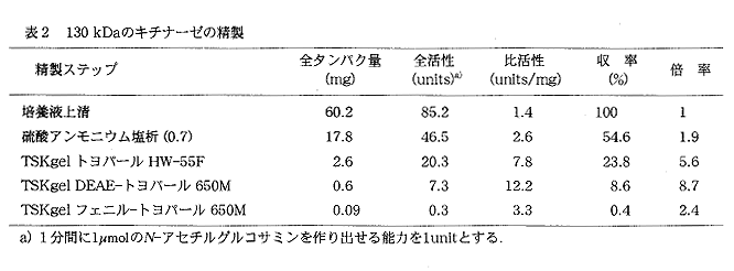 表2 130kDaのキチナーゼの精製