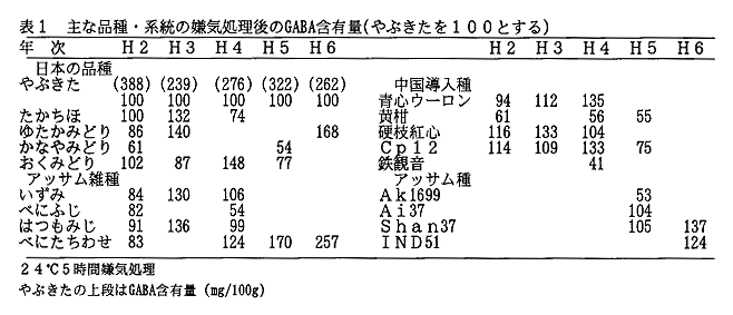 表1 主な品種・系統の嫌気処理後のGABA含有量