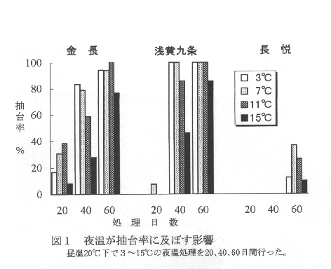 図1.夜温が抽台率に及ぼす影響