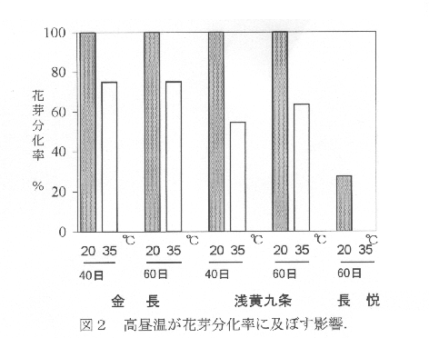 図2.高昼温が花芽分化率に及ぼす影響