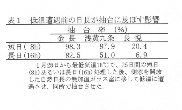 表1.低温遭遇前の日長が抽台に及ぼす影響