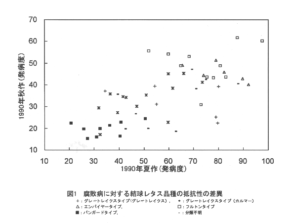 図1.腐敗病に対する結球レタス品種の抵抗性の差異