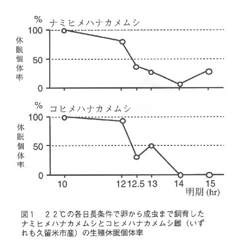 図1.22°Cの各日長条件で卵から成虫まで飼育したナミヒメハナカメムシとコヒメハナカメムシ雌の生殖休眠個体率