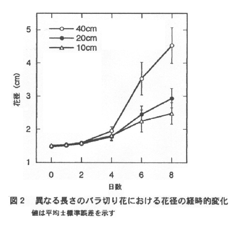 図2.異なる長さのバラ切り花における花径の経時的変化