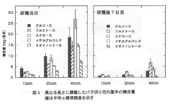 図3.異なる長さに調整したバラ切り花の茎中の糖含量