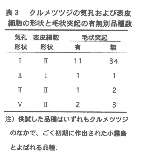 表3.クルメツツジの気孔および表皮細胞の形状と毛状突起の有無別品種数