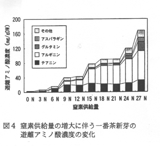 図4.窒素供給量の増大に伴う一番茶新芽の遊離アミノ酸濃度の変化