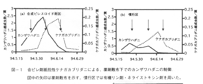 図1.合ピレ剤抵抗性ケナガカブリダニによる、薬剤散布下でのカンザワハダニの制御