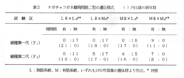 表2.ナガチャコガネ雌飛翔筋二型の遺伝模式