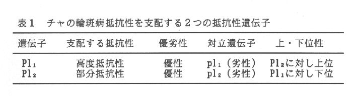 表1.チャの輪斑病抵抗性を支配する2つの抵抗性遺伝子