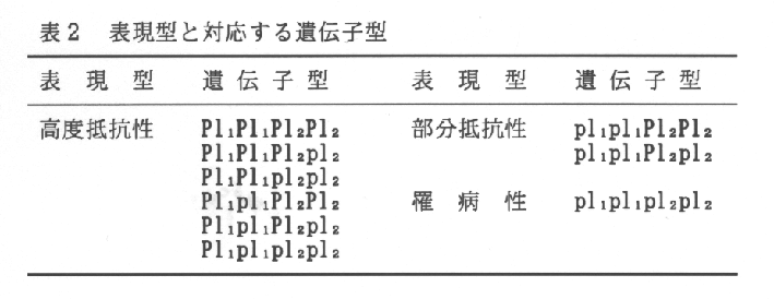 表2.表現型と対応する遺伝子型